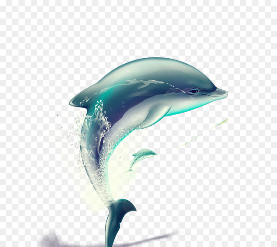 Dolphin - Vector Hand-painted dolphin png download - 800*800 - Free Transparent Dolphin png Download.