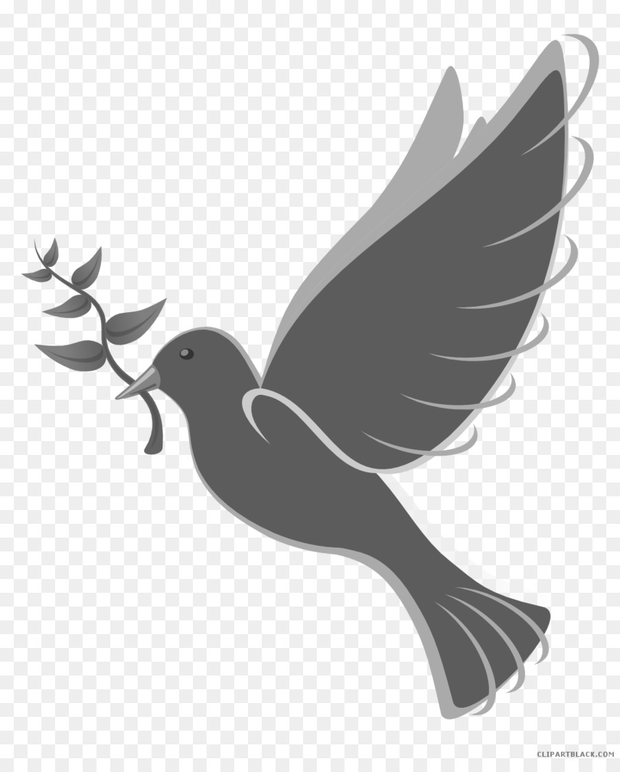 Pigeons and doves Clip art Free content Domestic pigeon Portable Network Graphics - dove tree silhouette png download - 999*1228 - Free Transparent Pigeons And Doves png Download.