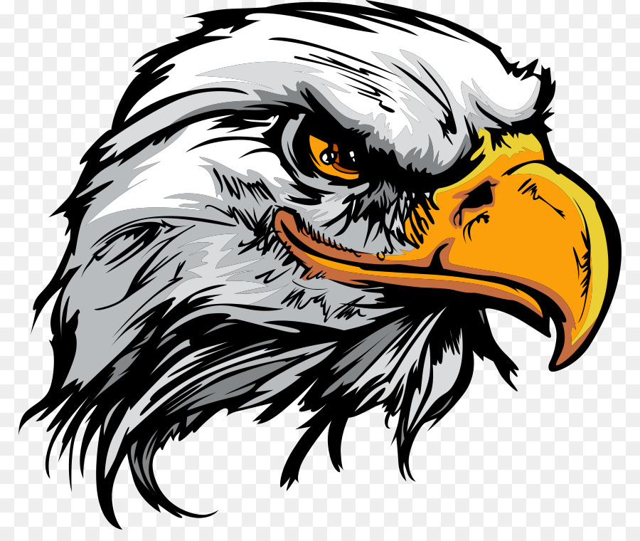 Bald Eagle Logo - cartoon eagle png download - 848*744 - Free Transparent Bald Eagle png Download.