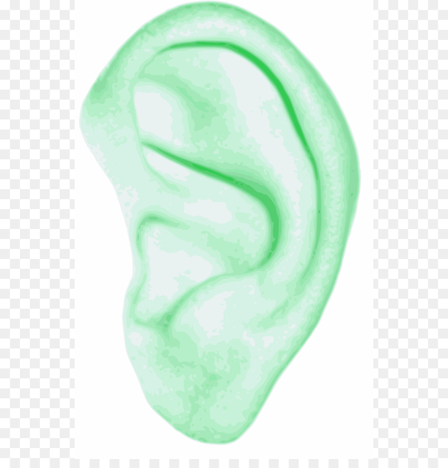 Ear Human body Clip art - Human Figure Outline png download - 600*922 - Free Transparent Ear png Download.