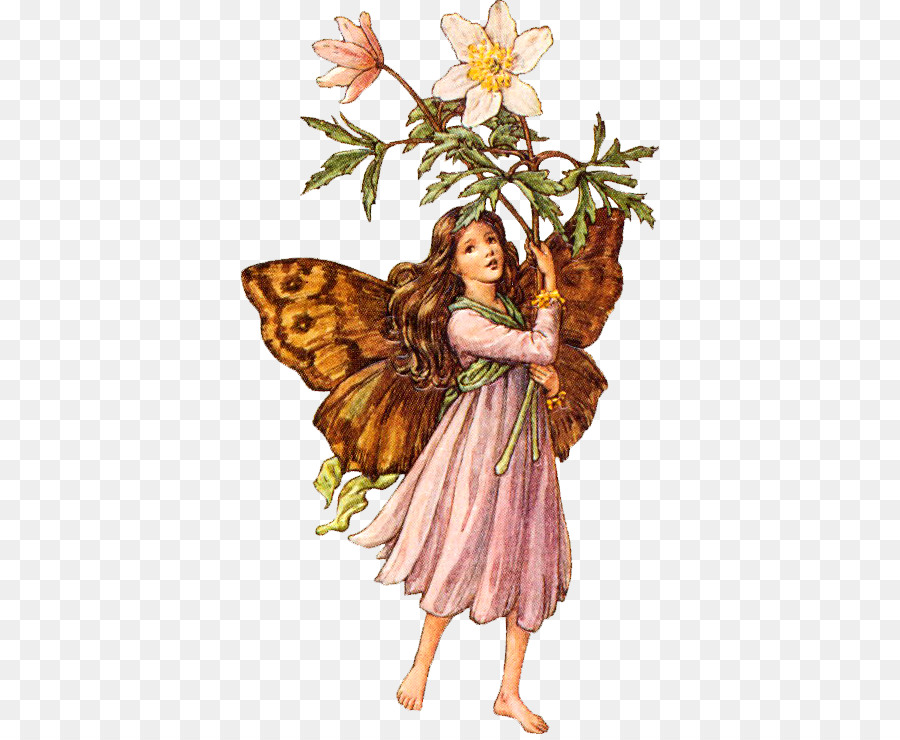 Fairy Harry Potter Flower fairies of the summer Goblin - Fairy png download - 418*734 - Free Transparent Fairy png Download.