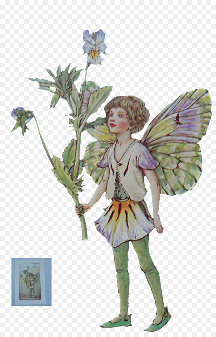 Fairy Flower Fairies DeviantArt Stock photography - Fairy png download - 1024*1573 - Free Transparent Fairy png Download.