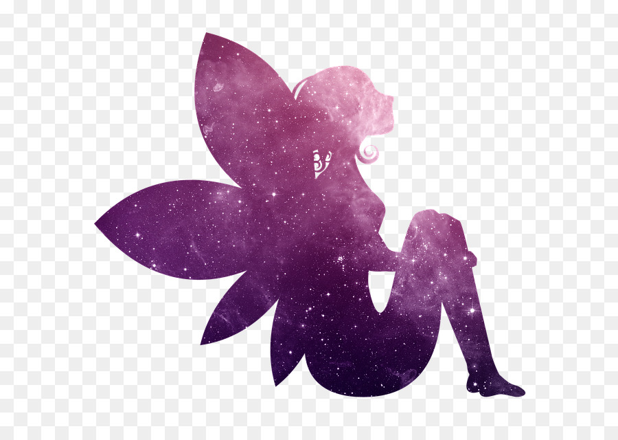 Fairy tale Tinker Bell Flower Fairies - galaxy png download - 640*640 - Free Transparent Fairy png Download.