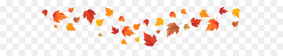 Autumn leaf color Autumn leaf color Red maple Maple leaf - Fall Leaves PNG Image png download - 4587*1177 - Free Transparent Leaf png Download.