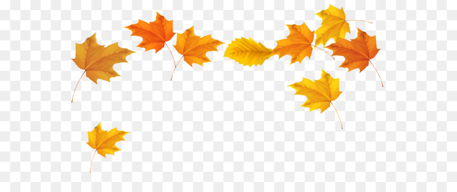 Autumn leaf color Clip art - Fall Leaves Picture png download - 5094*2822 - Free Transparent Autumn Leaf Color png Download.