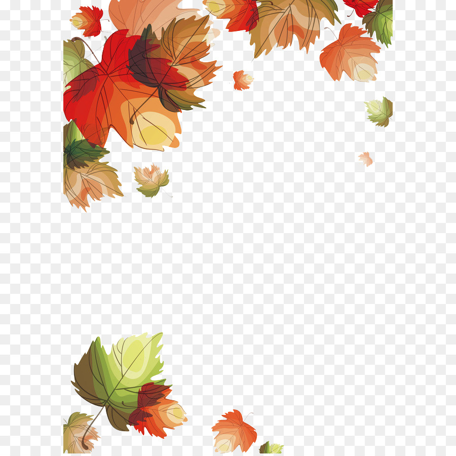 Autumn Leaves Euclidean vector Leaf - Maple Leaf Falling png download - 650*895 - Free Transparent Autumn Leaves png Download.