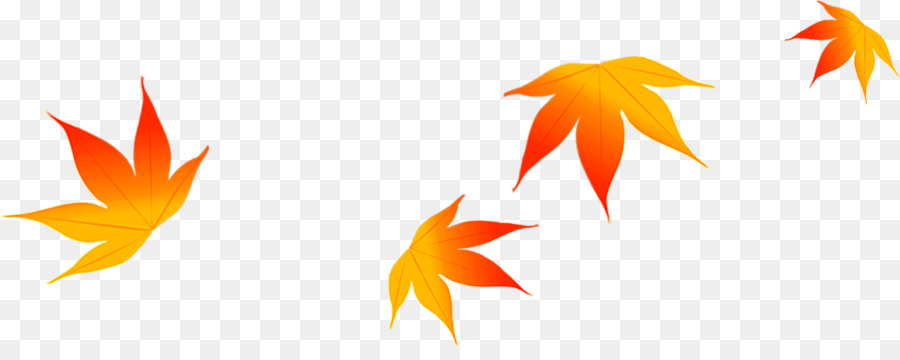 Maple leaf Autumn - Beautiful autumn maple leaf falling stars png download - 1275*491 - Free Transparent Maple Leaf png Download.