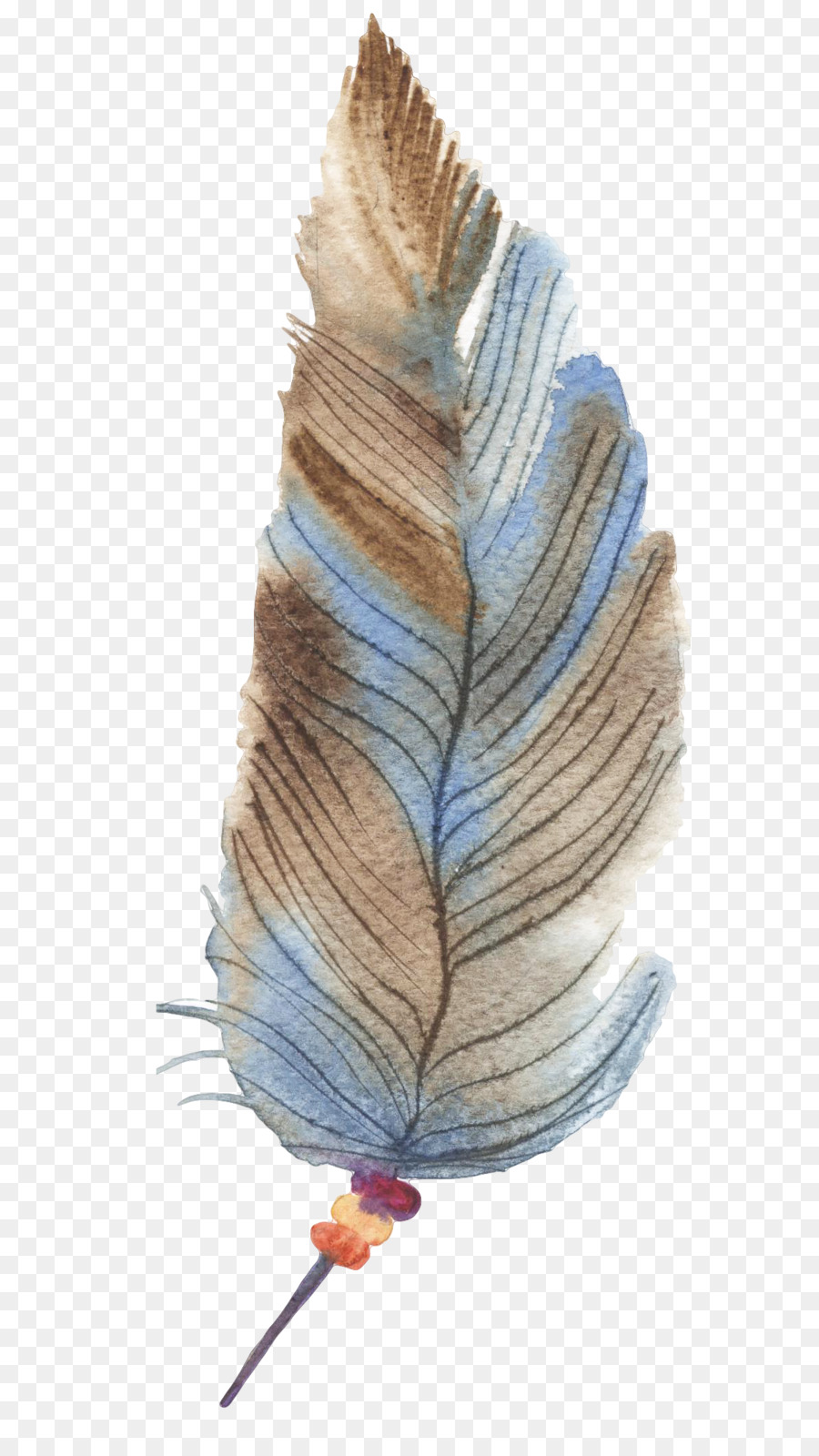 Feather Drawing - Hand-painted feathers png download - 1200*2132 - Free Transparent Feather png Download.
