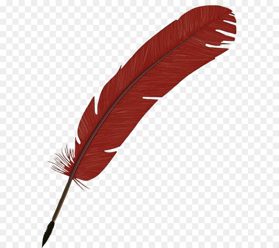 Feather Gratis - Hand-painted feathers png download - 632*800 - Free Transparent Feather png Download.