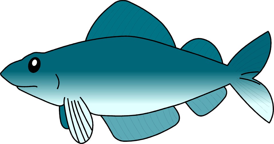 10 Fish Drawing (PNG Transparent)