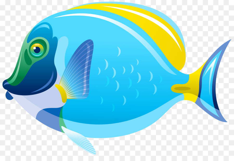 Saltwater fish Clip art - fish png download - 6000*4012 - Free Transparent Fish png Download.