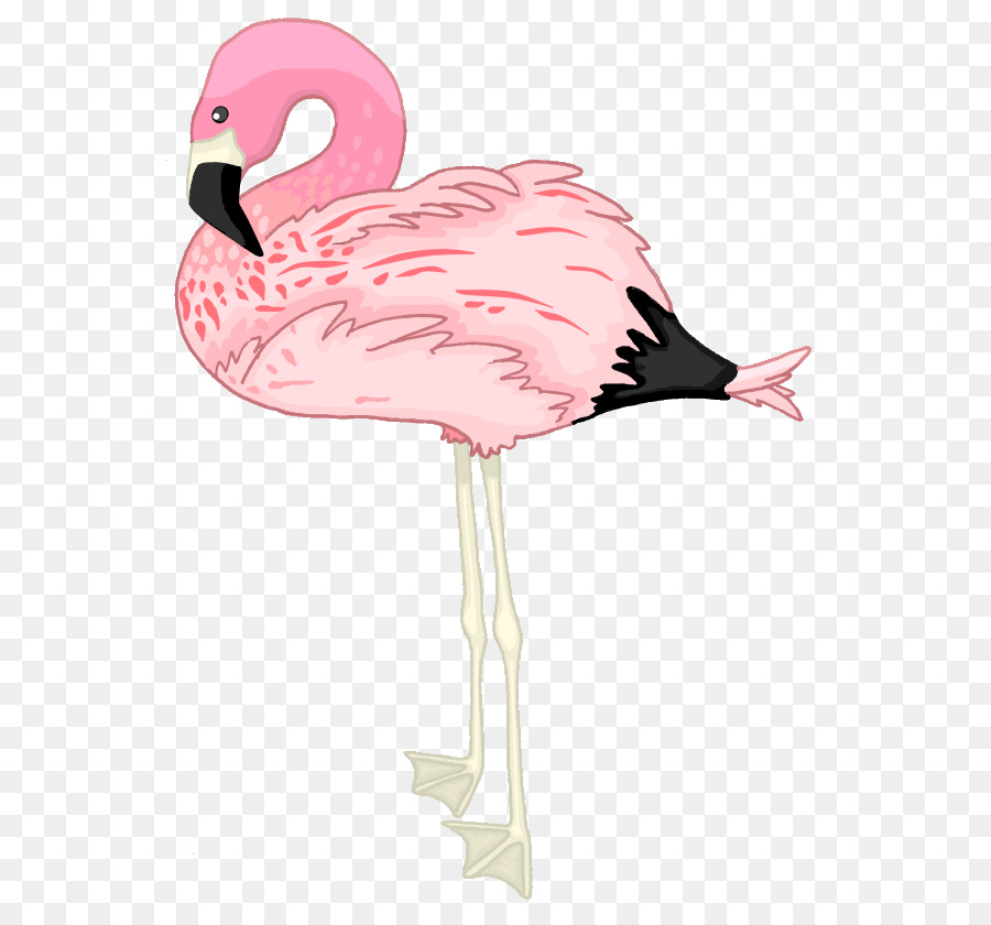 Flamingo Drawing Clip art - flamingo png download - 600*830 - Free Transparent Flamingo png Download.