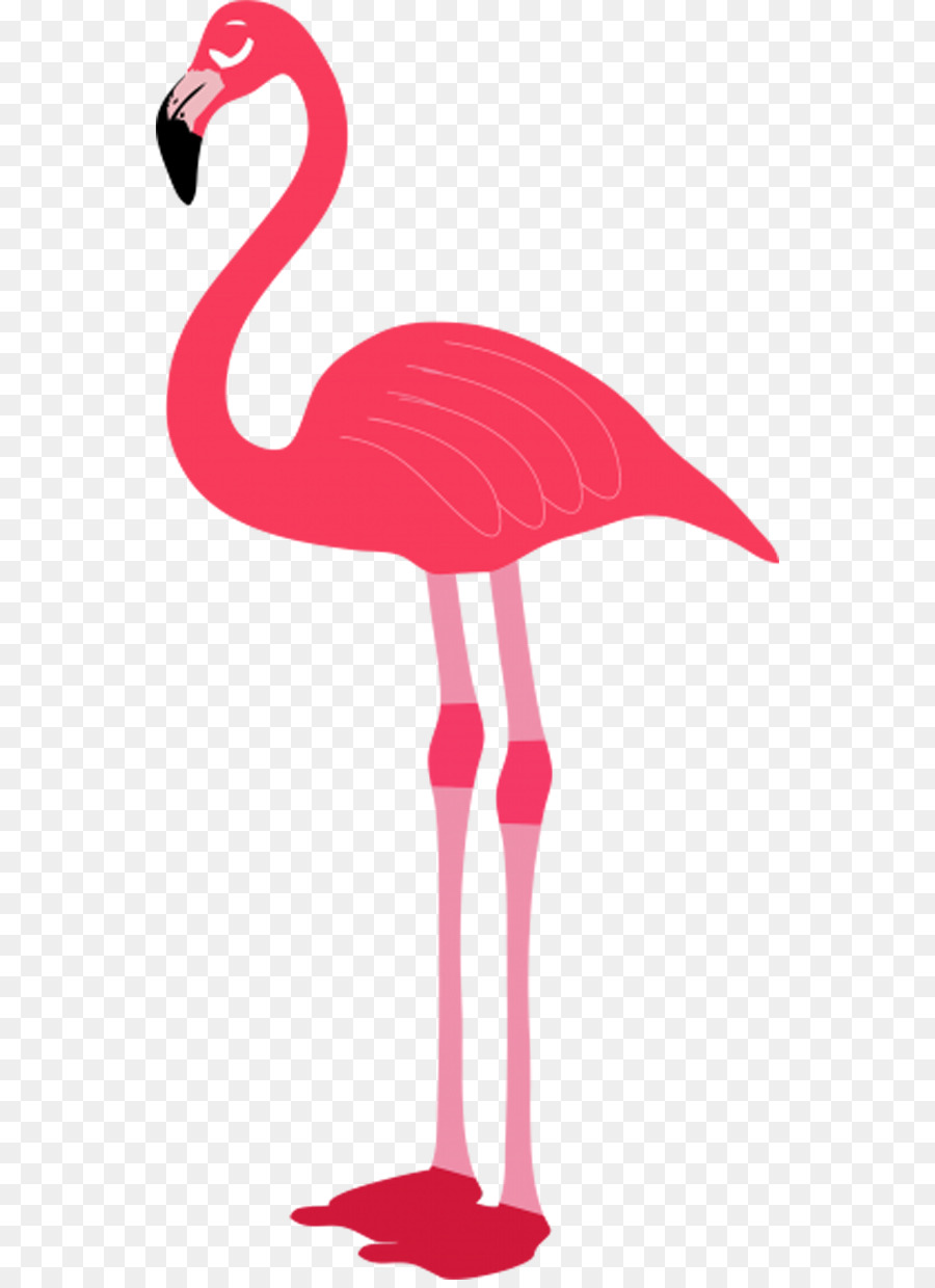 Flamingo Clip art - Pink Flamingos png download - 600*1232 - Free Transparent Flamingo png Download.