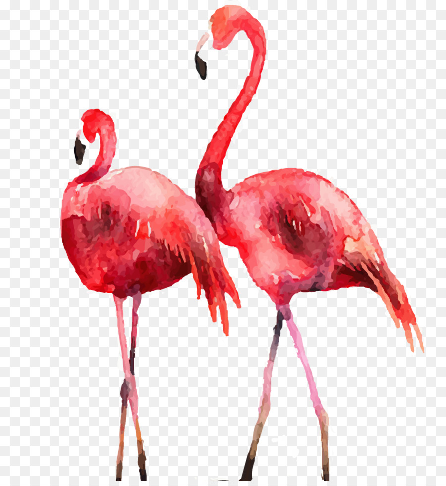 Flamingo Poster Printmaking Illustration - Drawing Flamingos png download - 901*971 - Free Transparent Flamingo png Download.