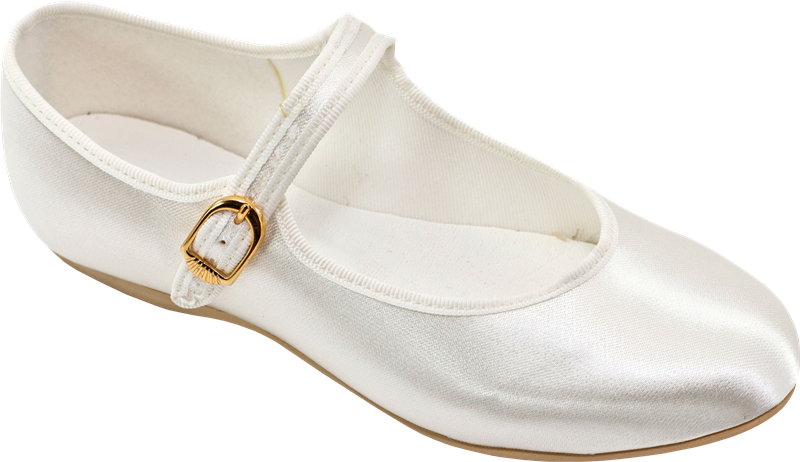 Ballet flat Shoe - zapato png download - 800*462 - Free Transparent ...