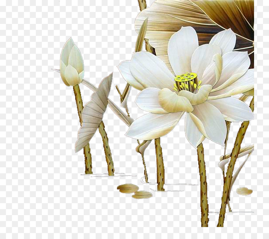 Flower Art - Lotus png download - 800*800 - Free Transparent Flower png Download.