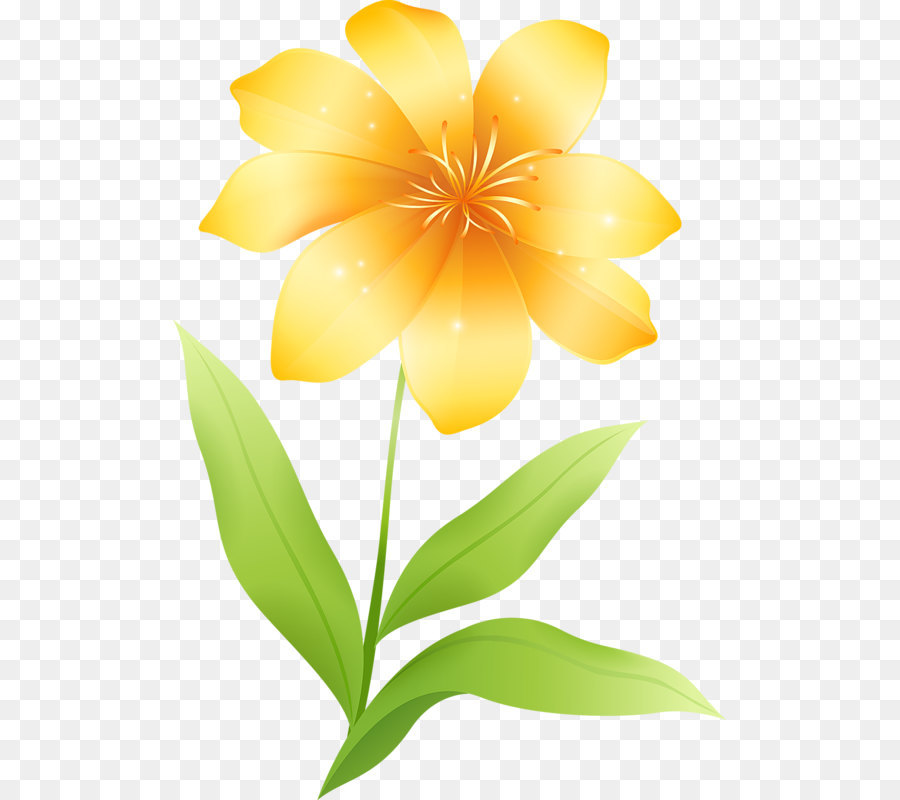 Flower Yellow Clip art - Yellow Flower Clipart png download - 553*800 - Free Transparent Flower png Download.