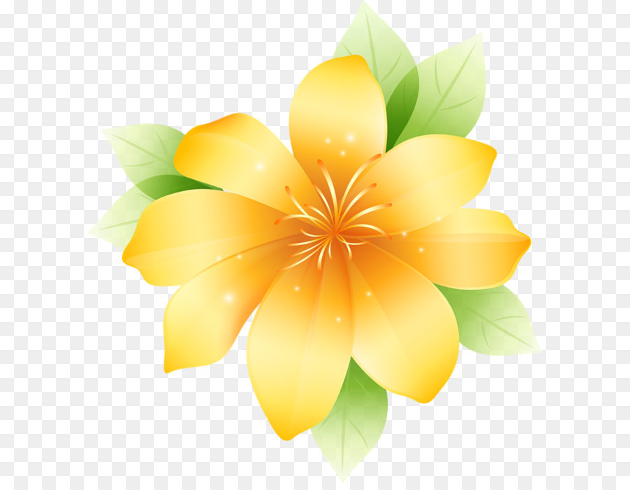 Flower Drawing Graphics Clip art - Yellow Large Flower Clipart png download - 753*800 - Free Transparent Flower png Download.