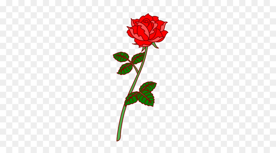 Garden roses Cut flowers Floral design - rose png download - 500*500 - Free Transparent Garden Roses png Download.