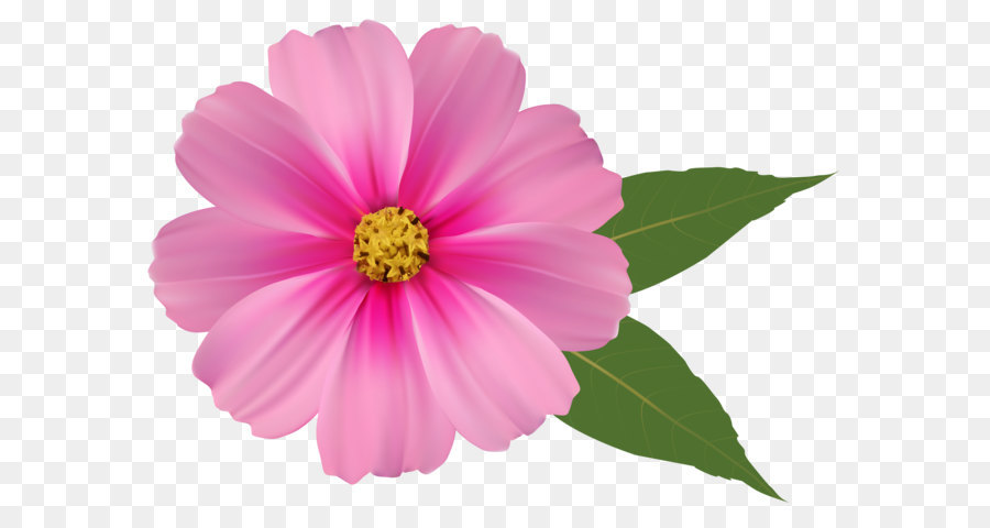 Pink flowers Clip art - Pink Flower PNG Image Clipart png download - 6195*4416 - Free Transparent Flower png Download.