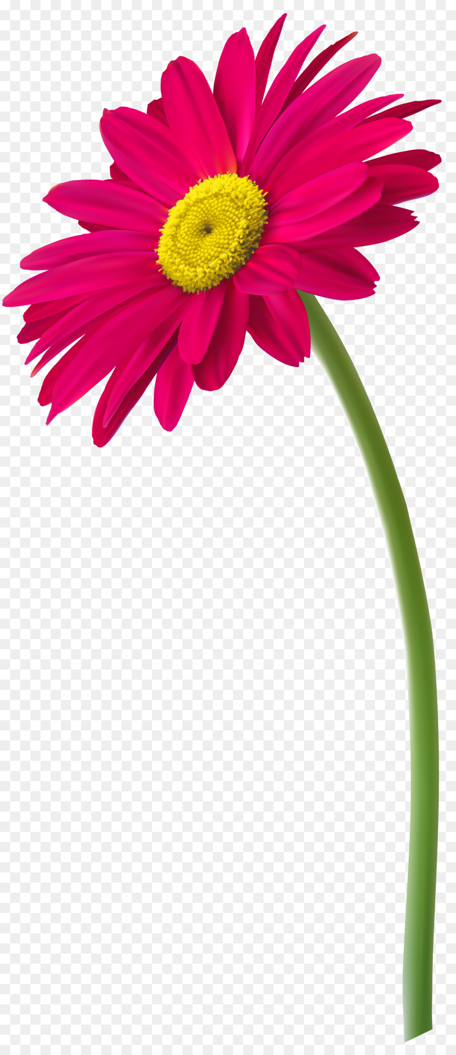 Clip art Flowerpot Vase Image - flower png download - 3981*9124 - Free Transparent Flower png Download.