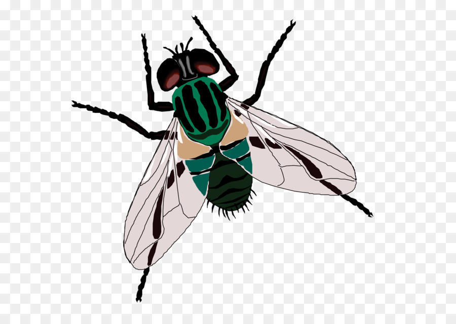 Fly Sticker Toilet Clip art - Green flies png download - 1913*1346 - Free Transparent Fly png Download.