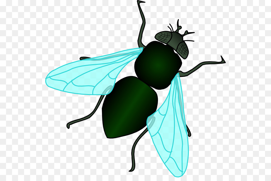 Fly Clip art - Housefly Cliparts png download - 600*588 - Free Transparent Fly png Download.