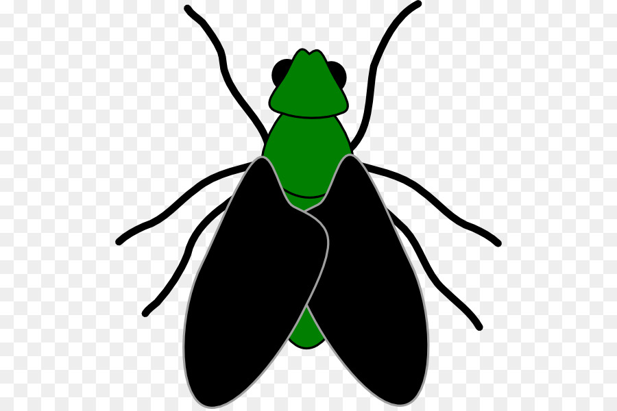 Fly Free content Website Clip art - Cartoon Picture Of A Fly png download - 564*597 - Free Transparent Fly png Download.