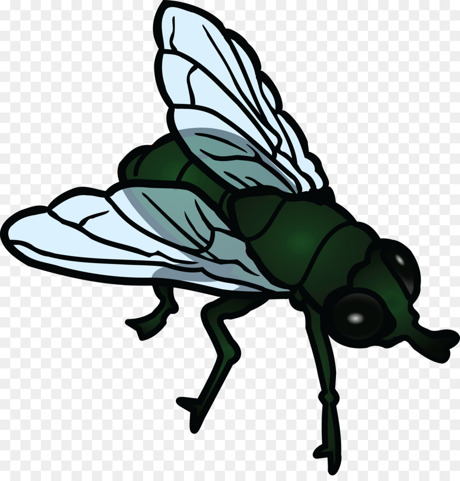 Insect Public domain Clip art - flies png download - 4000*4130 - Free Transparent Insect png Download.