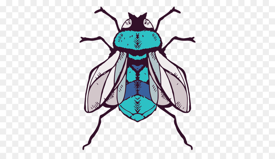 Fly Clip art - Ilustracion png download - 512*512 - Free Transparent Fly png Download.