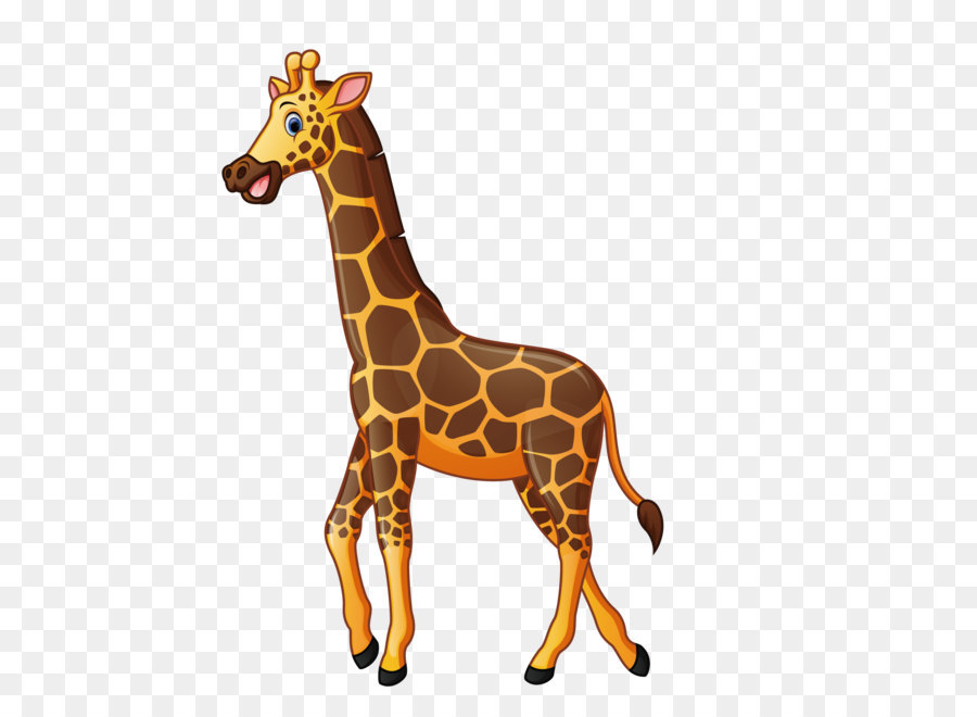 Giraffe Cartoon Illustration - Zoo Giraffe png download - 1800*1800 - Free Transparent Giraffe png Download.