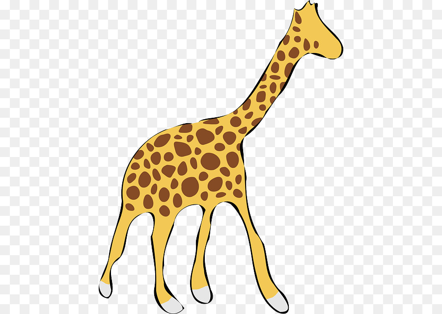 Giraffe Drawing Clip art - giraffe png download - 498*640 - Free Transparent Giraffe png Download.