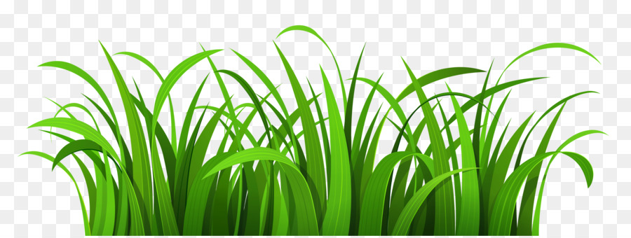Lawn Clip art - Easter Grass Cliparts png download - 5700*2135 - Free Transparent Lawn png Download.