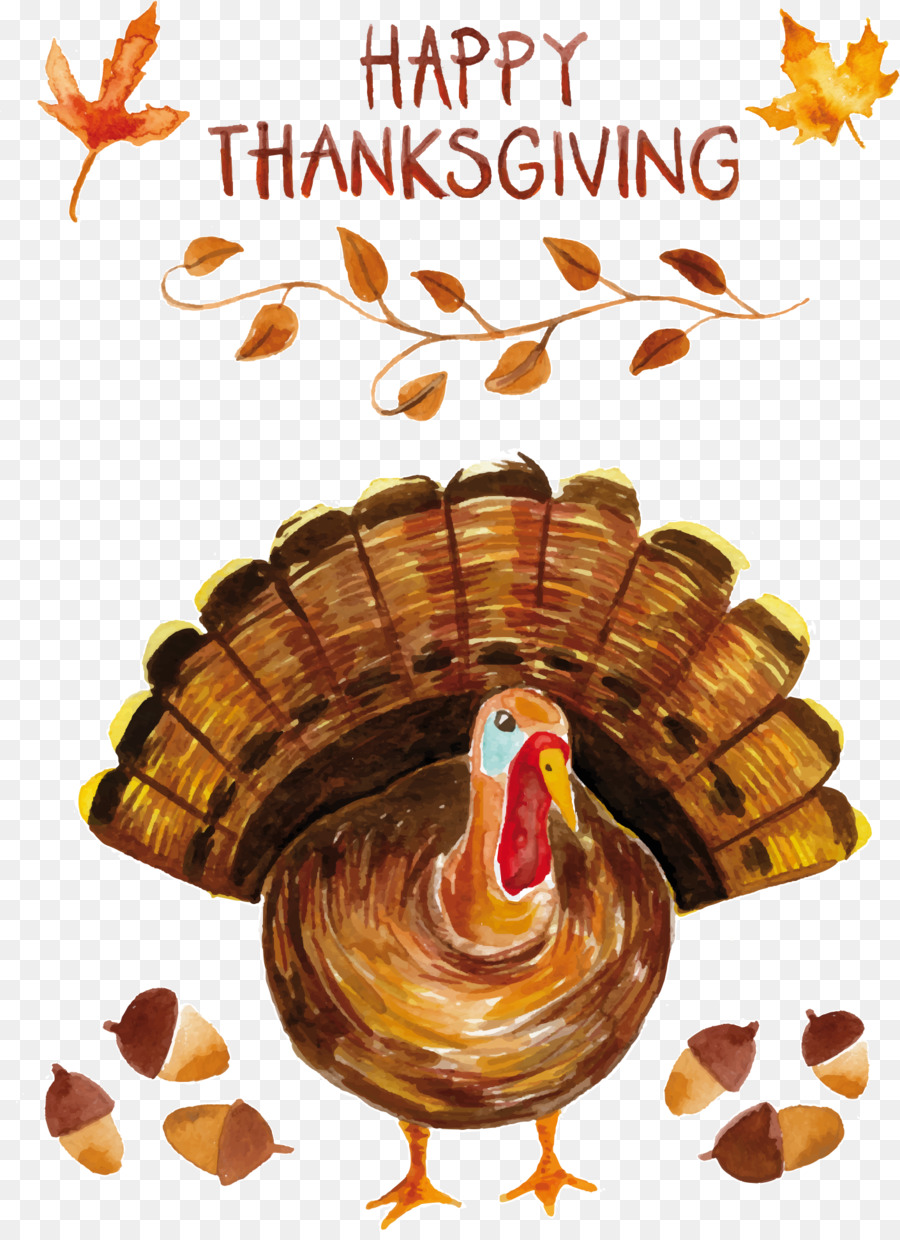 Turkey Watercolor painting Thanksgiving - Thanksgiving turkey painted png download - 1410*1930 - Free Transparent Turkey png Download.
