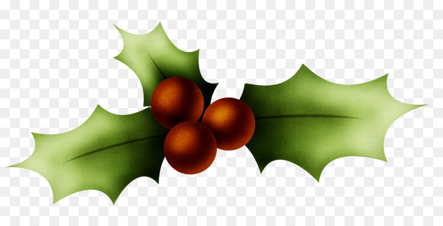 Holly Christmas Clip art - HOLLY png download - 3254*1648 - Free Transparent Holly png Download.