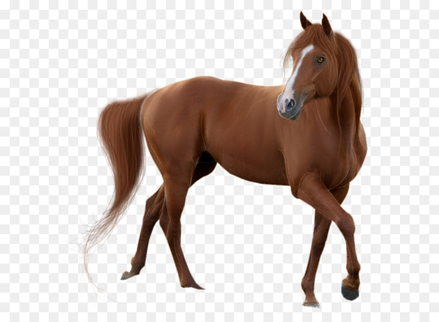 Horse Pixel - Brown Horse png download - 650*642 - Free Transparent Horse png Download.
