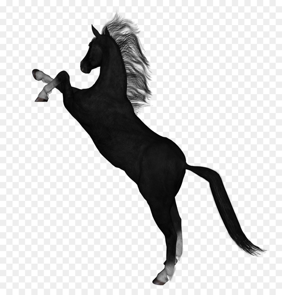 Horses Foal Colt Stallion - horse png download - 1398*1434 - Free Transparent Horse png Download.
