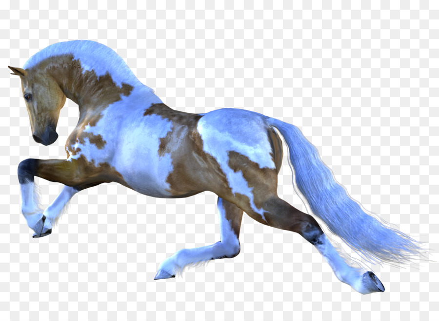 Horse Mare Stallion Pony - horses png download - 900*655 - Free Transparent Horse png Download.