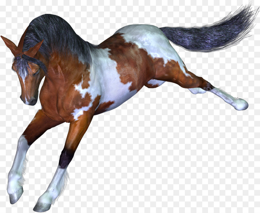 Mustang Stallion Mare Foal Colt - Horses png download - 1200*985 - Free Transparent Mustang png Download.