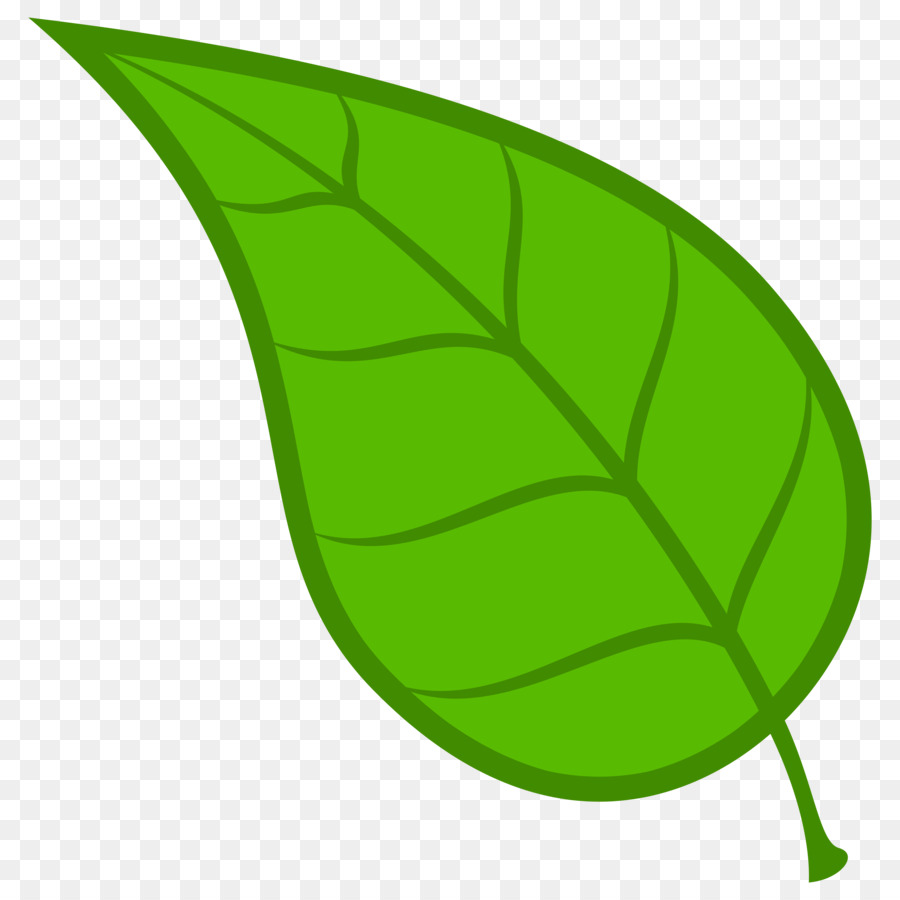 Leaf Green Clip art - Leaf png download - 3600*3600 - Free Transparent Leaf png Download.
