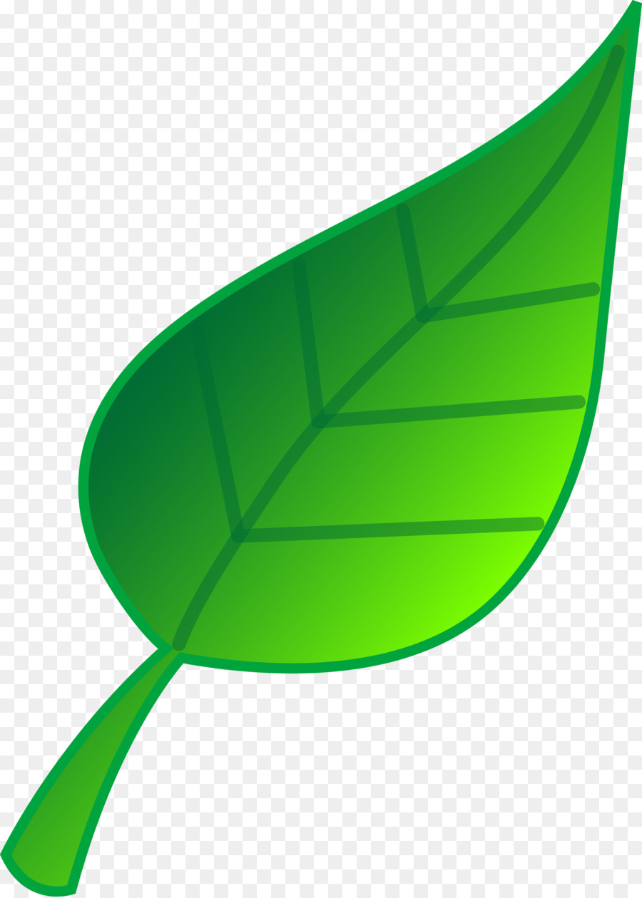 Leaf Clip art - herb png download - 2504*3500 - Free Transparent Leaf png Download.