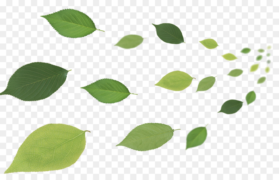 Leaf Desktop Wallpaper - Flying leaves png download - 1920*1200 - Free Transparent Leaf png Download.