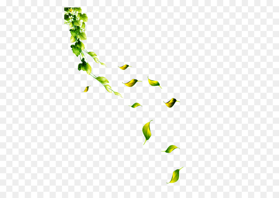 Petal Leaf Flower - Green leaves falling png download - 658*633 - Free Transparent Petal png Download.