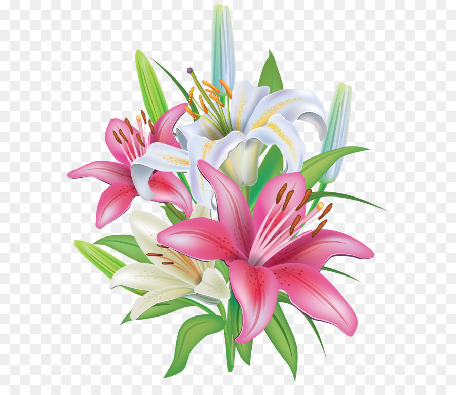 Free Transparent Lilies Download Free Transparent Lilies Png Images 