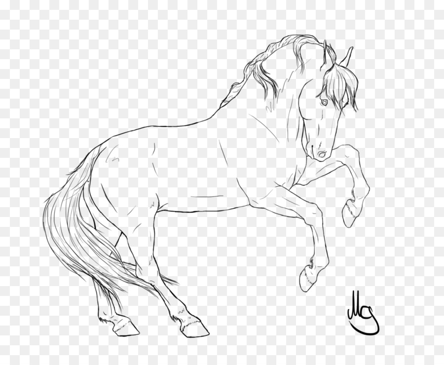 Wild horse Drawing Line art Pencil - horse png download - 1024*829 - Free Transparent Horse png Download.