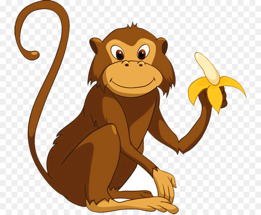 Monkey ?????? ? ???????. ????? ??? ????? ? ? ????? Primate Gorilla Clip art - monkey png download - 800*737 - Free Transparent Monkey png Download.