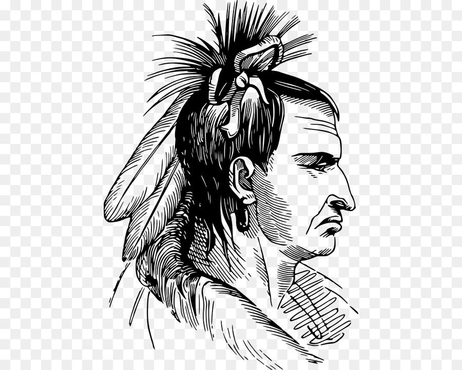 American Indian Wars Native Americans in the United States Indigenous peoples of the Americas Native American mascot controversy - united states png download - 496*720 - Free Transparent  png Download.