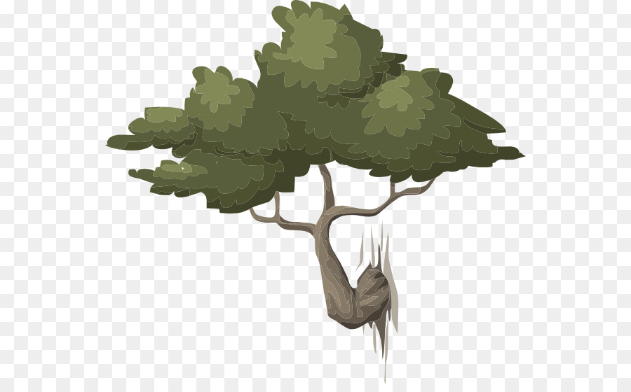 Nature - bonsai png download - 600*549 - Free Transparent Nature png Download.