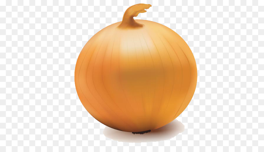 Yellow onion Jack-o-lantern - Onion Vector Transparent PNG png download - 511*503 - Free Transparent Onion png Download.