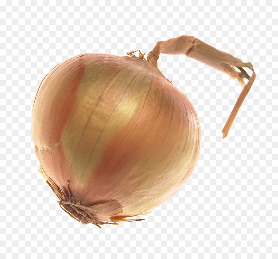 Onion Vegetable - An onion png download - 1085*1000 - Free Transparent Onion png Download.